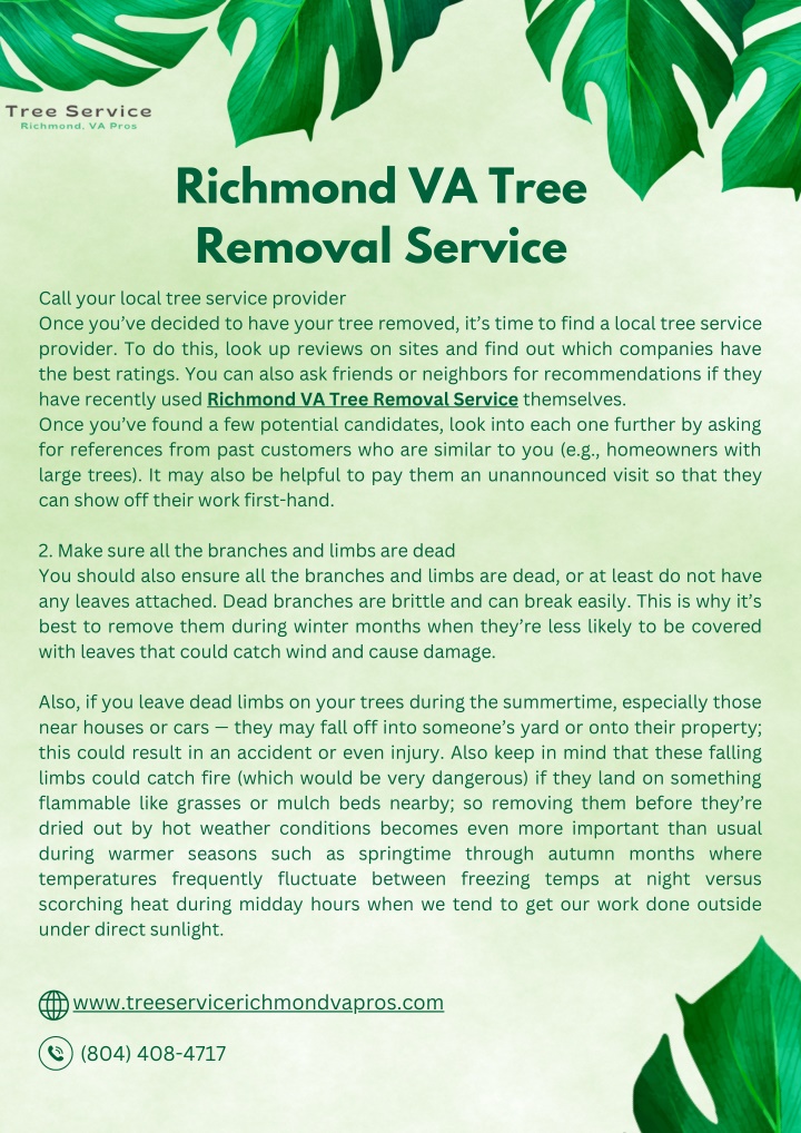 richmond va tree removal service