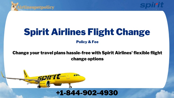 spirit airlines flight change