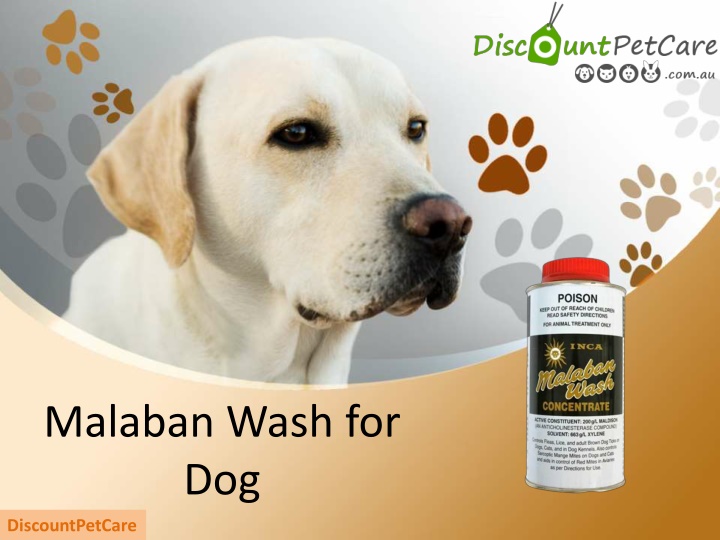 malaban wash for dog