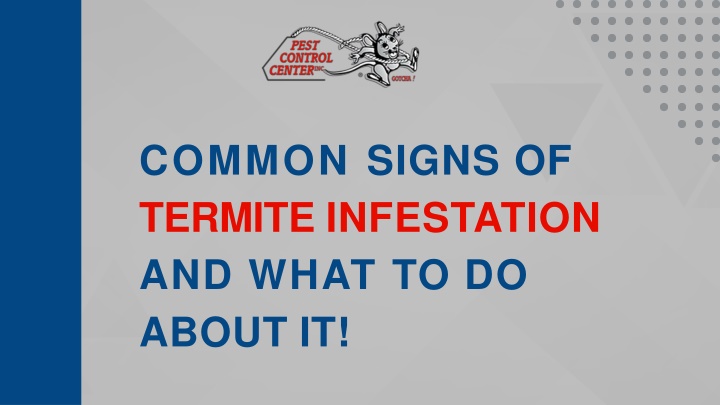 common signs of termite infestation and what