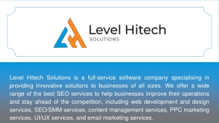 Custom IT Solutions - Level Hitech Solutions