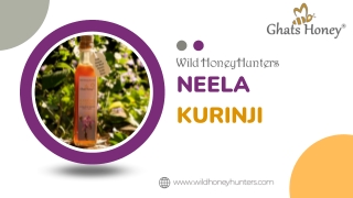 Neela Kurinji honeyy from Wild honey hunters