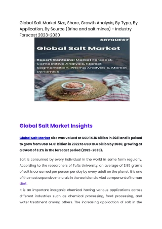 global salt market size share growth analysis