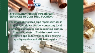 Affordably Priced Pipe Repair Services in Clay Hill, Florida