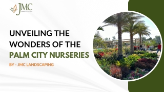 Explore the Abundant Beauty at Palm City Nurseries | Palm Tree Nursery Near Me