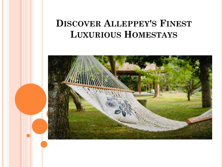 discover alleppey s finest luxurious homestays