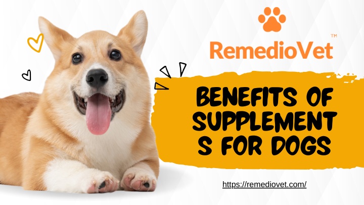 benefits of supplement s for dogs