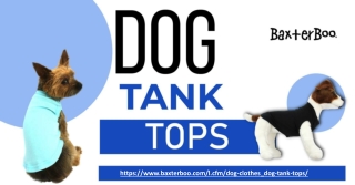 Want to unleash your pup’s style with trendy dog tank tops? Visit BaxterBoo