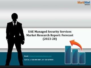 UAE Managed Security Services Market Research Report: Forecast (2023-28)