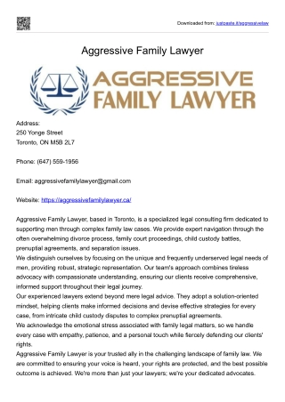 Aggressive Family Lawyer