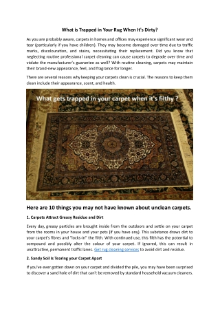 What is Trapped in Your Rug When It's Dirty