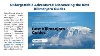 Unforgettable Adventures Discovering the Best Kilimanjaro Guides