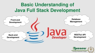 Java Full Stack Developer