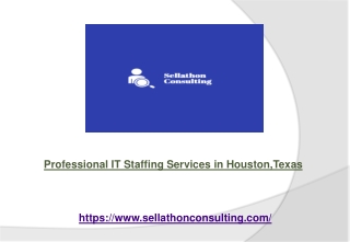 Professional IT Staffing Services in Houston,Texas