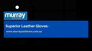 Superior Leather Gloves- www.murrayuniforms.com.au