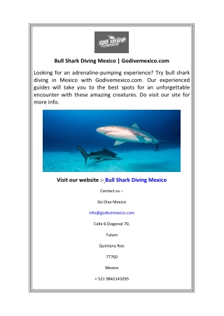 Bull Shark Diving Mexico  Godivemexico.com