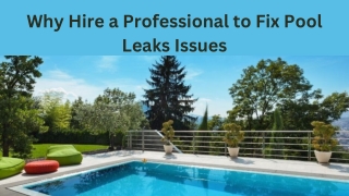 Why Hire a Professional to Fix Pool Leaks Issues