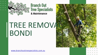 Tree Removal Bondi