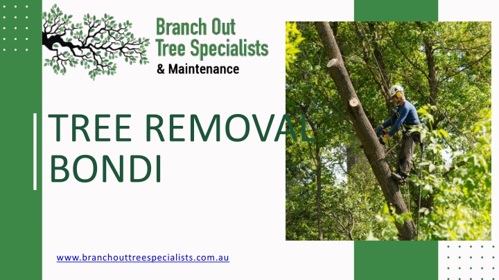 tree removal bondi