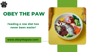 Barf Food Dog - Obey the Paw
