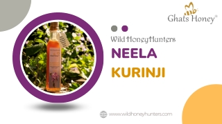 The best Neela kurinjii honey from Wild honey hunters