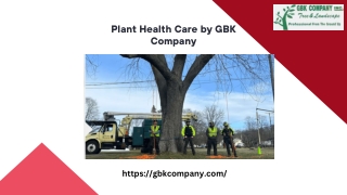 Choose the Best Services for Plant Health Care Treatment