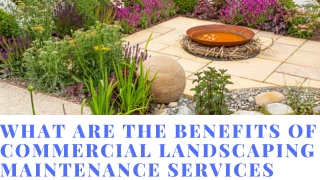 What Are The benefits OF Commercial Landscaping Maintenance Services