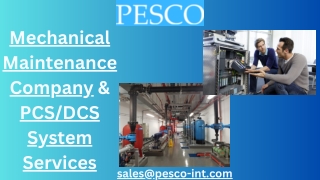 PCSDCS System Services