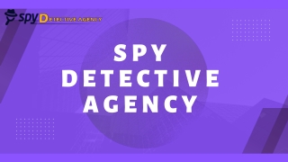 Get Peace of Mind with Comprehensive Background Checks from Spy Detective Agency