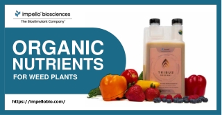 Looking For Organic Nutrients for Weed Plants - Visit Impello Biosciences