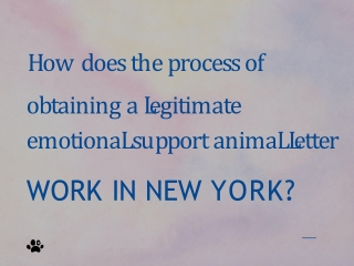 How does the process of obtaining a legitimate esa letter work in New York?