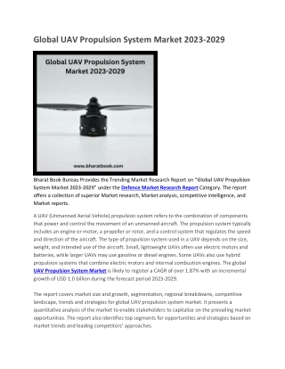 Global UAV Propulsion System Market 2023-2029