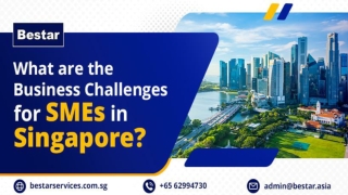 What are the Business Challenges for SMEs in Singapore | Bestar Services