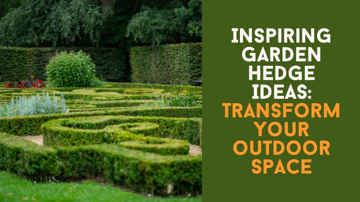 inspiring garden hedge ideas transform your