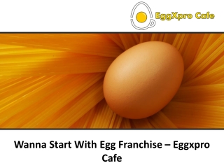 Wanna Start With Egg Franchise – Eggxpro Cafe