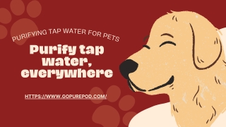 Purify tap water, everywhere