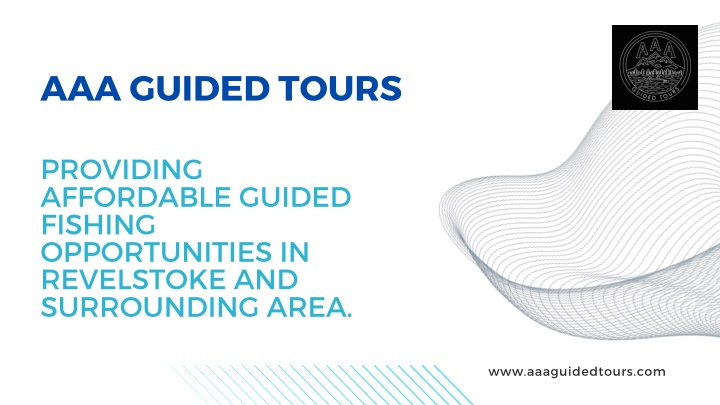 aaa guided tours