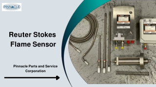 Reuter Stokes Flame Sensor - Pinnacle PSC