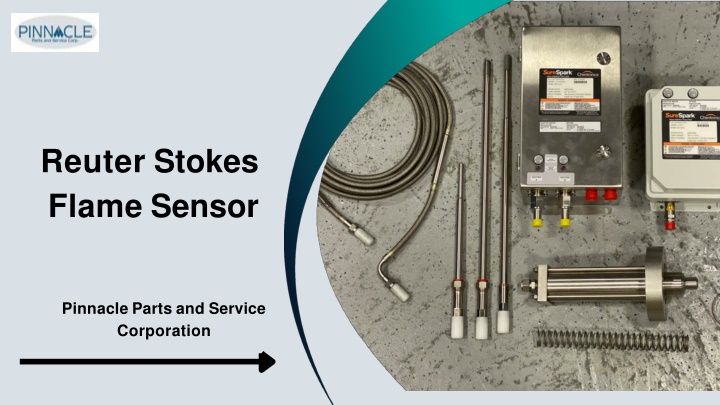 reuter stokes flame sensor