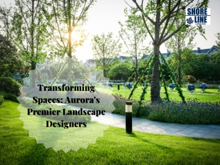 Transforming Spaces Aurora's Premier Landscape Designers