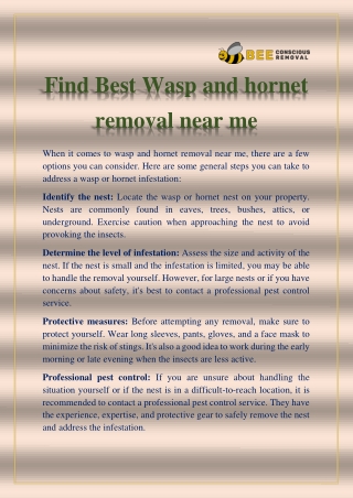 find best wasp and hornet removal near me