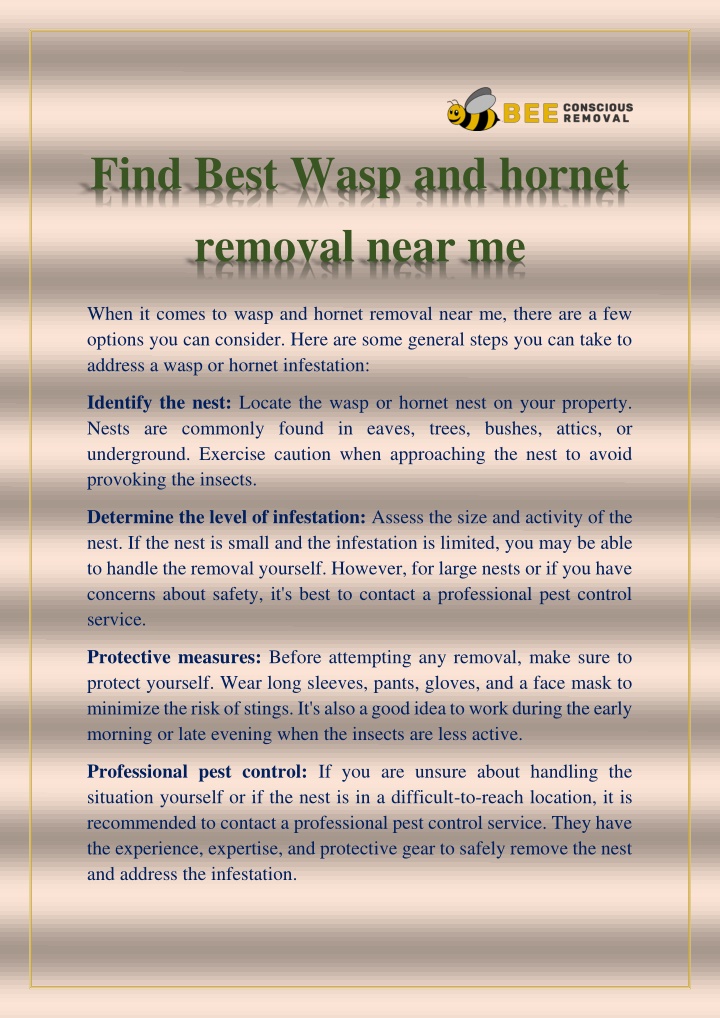 find best wasp and hornet removal near me