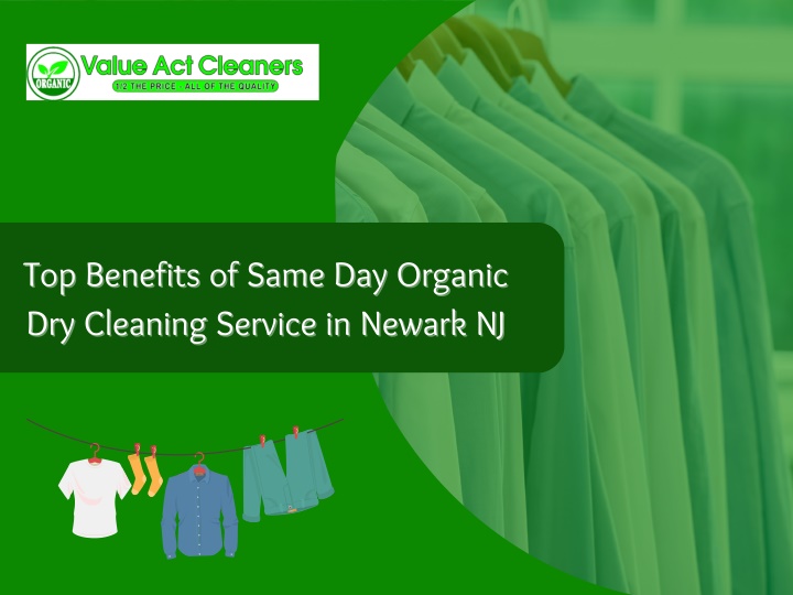 top benefits of same day organic top benefits