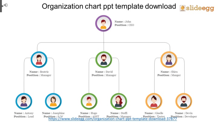 https www slideegg com organization chart