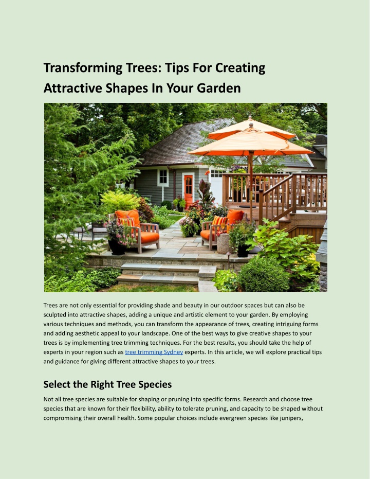 transforming trees tips for creating attractive