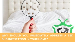 why should you immediately address