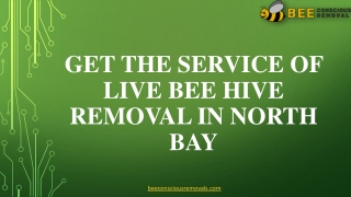 get the service of live bee hive removal in north bay