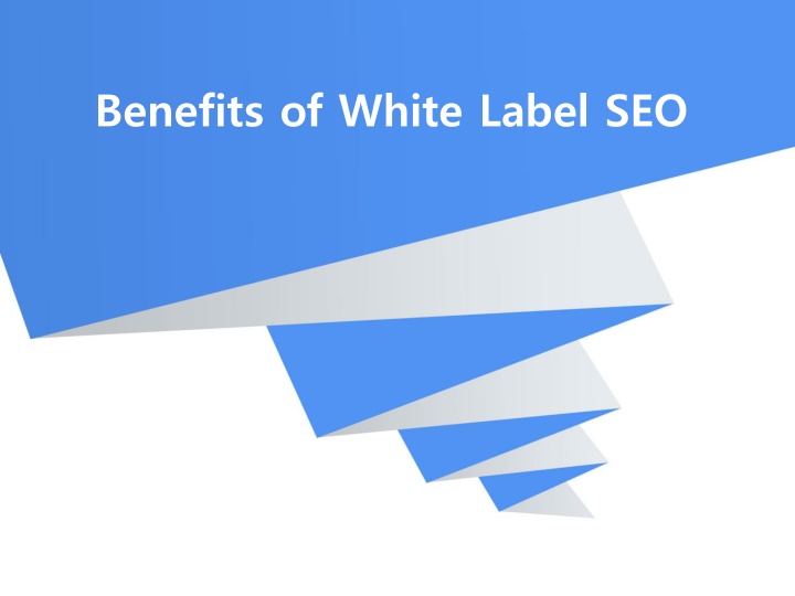 benefits of white label seo