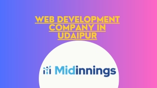 Web Development Company in Udaipur