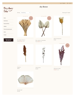 Discover Timeless Elegance with Wholesale Dried Flowers from DRY FLOWER SHOP